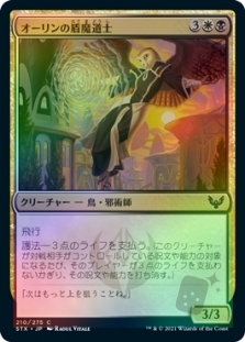 オーリンの盾魔道士