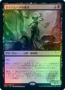 Sedgemoor Witch