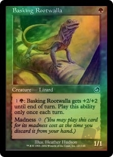 Basking Rootwalla