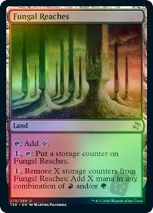 Fungal Reaches