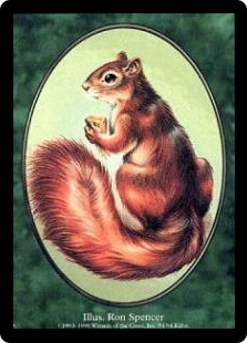 Squirrel Token