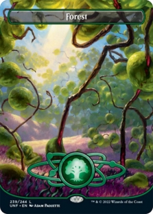 Forest (239) (Full Art)