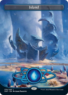 Island (236) (Full Art)