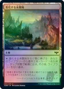 Evolving Wilds
