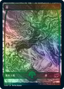 Forest (276) (Full Art)