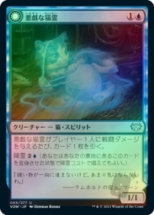Mischievous Catgeist // Catlike Curiosity