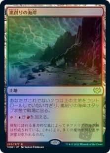 Stormcarved Coast