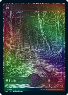Swamp (272) (Full Art)