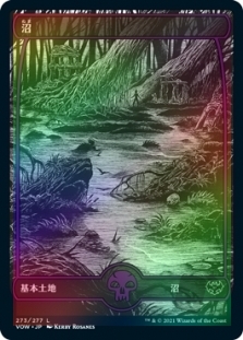 Swamp (273) (Full Art)