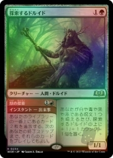 Questing Druid