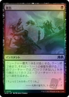 密告