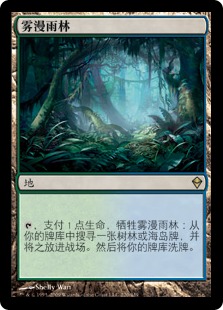 雾漫雨林