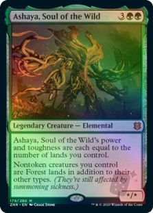 Ashaya, Soul of the Wild