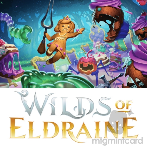 Complete Set - 4x Wilds of Eldraine WOE Common & Uncommon