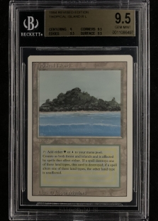 Tropical Island  (BGS Graded 9.5 #0011086497)