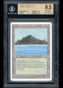 Tropical Island (BGS Graded 9.5 #0011582813)
