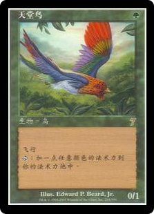 Birds of Paradise