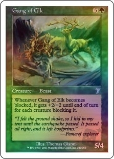 Gang of Elk