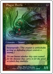 Plague Beetle