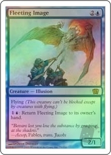 Fleeting Image