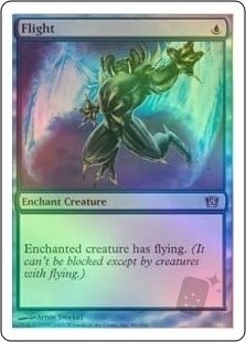 Flight