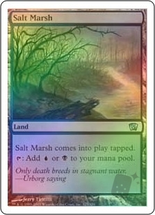Salt Marsh