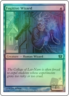 Fugitive Wizard