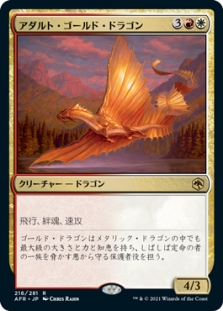 アダルト・ゴールド・ドラゴン