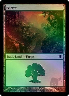 Forest (246)