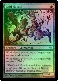 Wild Nacatl