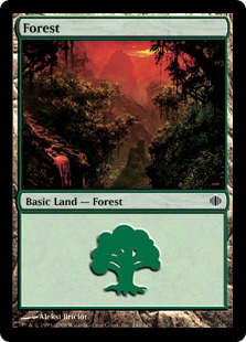 Forest (246)