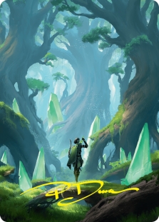 Forest (Signed)(Foundations)(25/54)