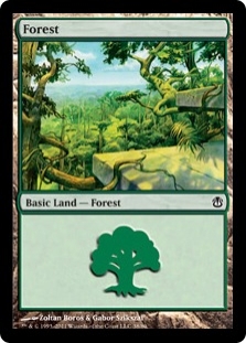 Forest (38)