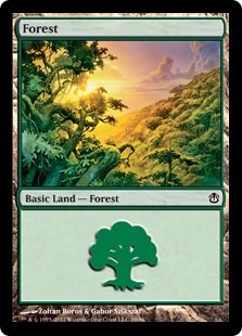 Forest (39)