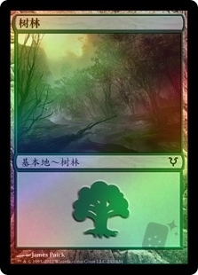 Forest (242)
