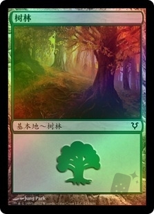 Forest (243)