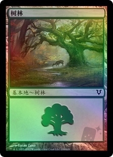 Forest (244)