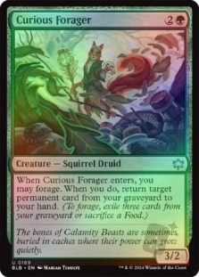 Curious Forager