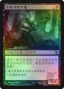安梭苛的专家