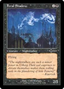 Feral Shadow