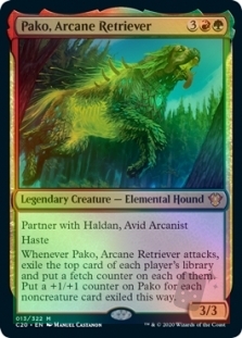 Pako, Arcane Retriever