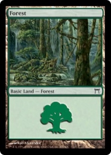 Forest (305)