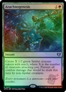 Arachnogenesis