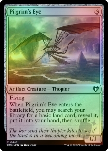Pilgrim's Eye