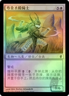尊贵圣殿骑士