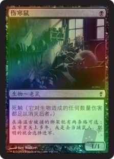 伤寒鼠