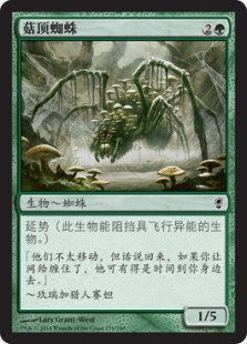 菇顶蜘蛛