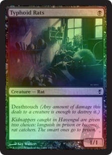 Typhoid Rats