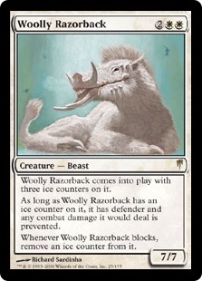 Woolly Razorback