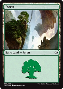 Forest (33)